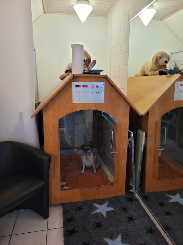 Rezensionen über Hundephysio Vierpfoten in Liestal - Arzt