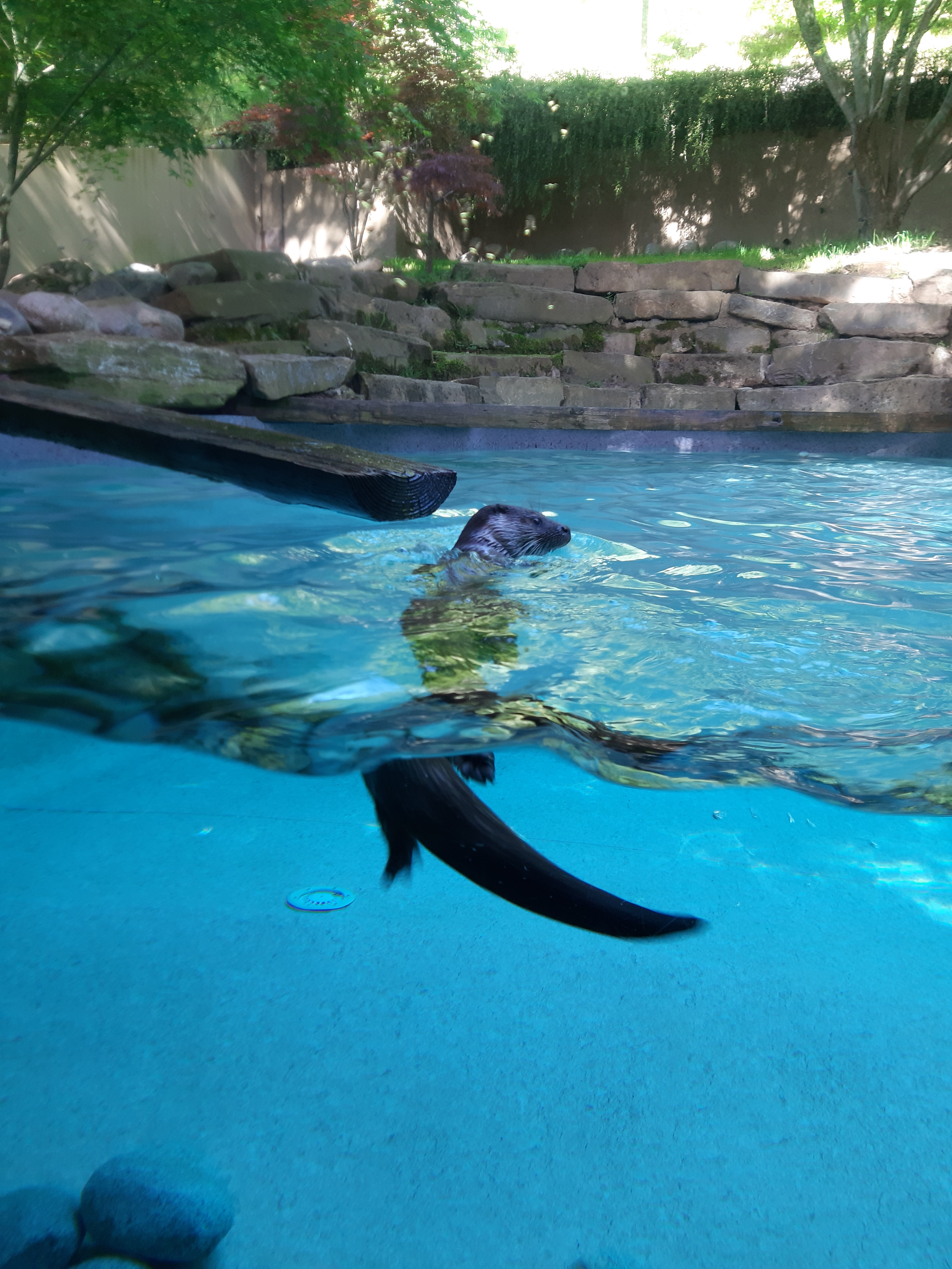 Photo n° 6 de l'avis de Frederic.e fait le 26/04/2022 à 12:50