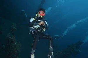 Diving With Sumade - Amed image