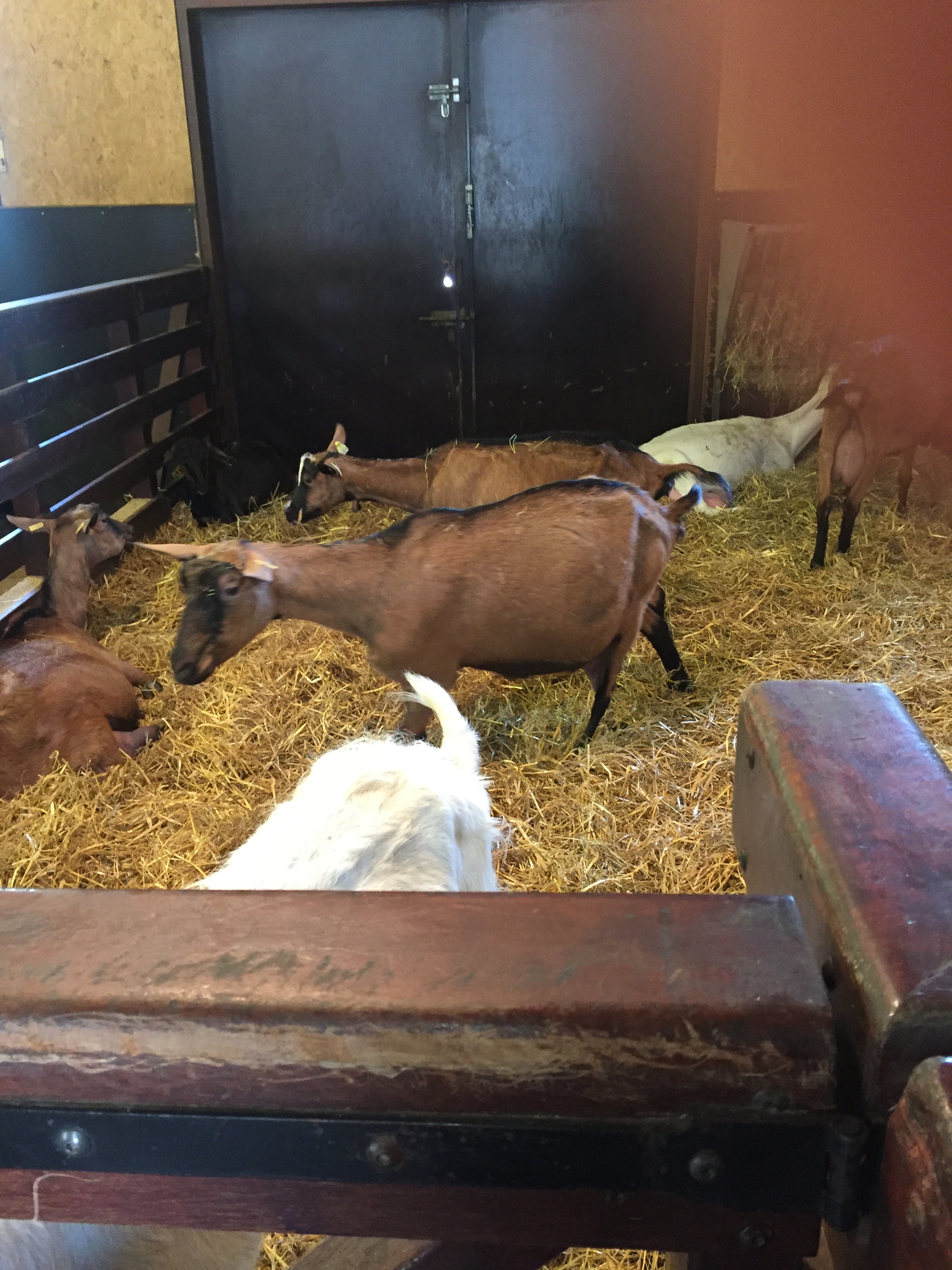 Photo n° 28 de l'avis de lou.o fait le 21/04/2018 à 14:21