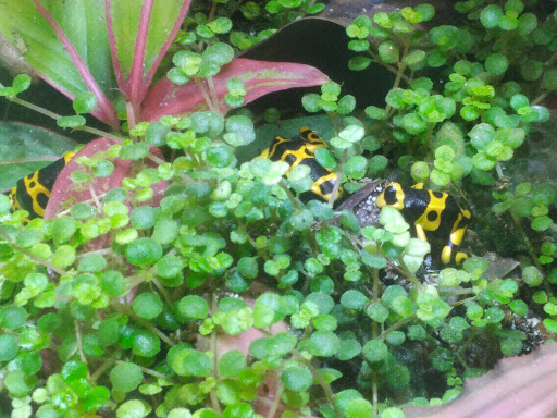 Pet Supply Store «Petco Animal Supplies», reviews and photos, 3680 Spencer Hwy, Pasadena, TX 77504, USA