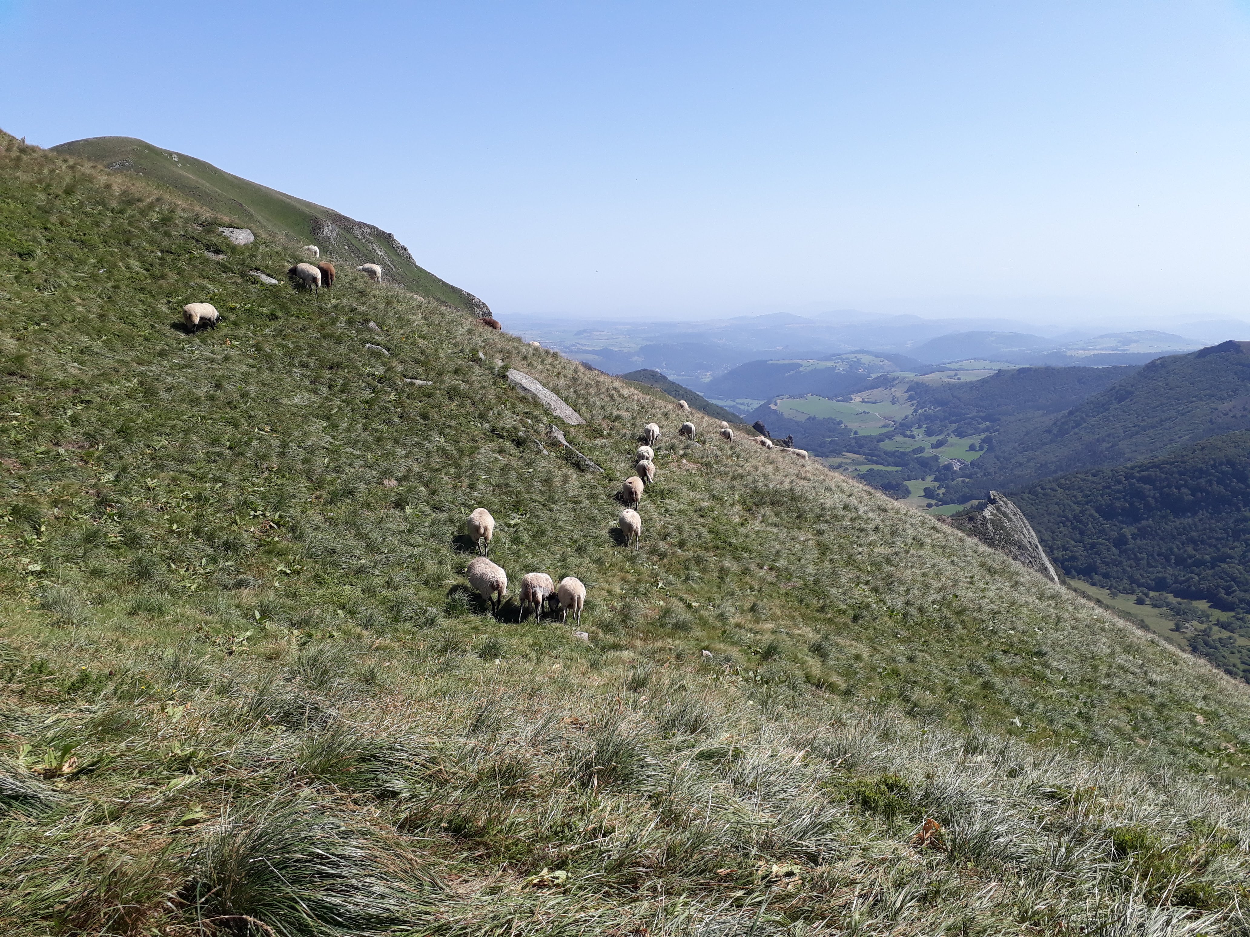 Photo n° 13 de l'avis de Florence.h fait le 22/08/2021 à 13:45