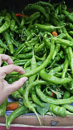 Grocery Store «Valentino Food Market», reviews and photos, 66-64 Fresh Pond Rd, Ridgewood, NY 11385, USA