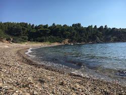 Secret beach'in fotoğrafı doğal alan içinde bulunmaktadır