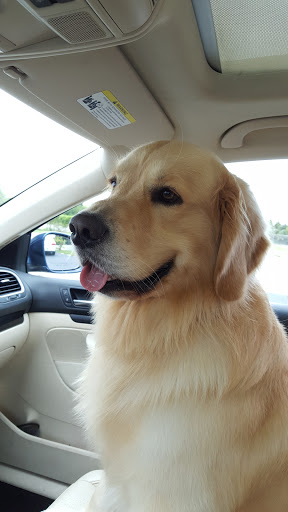 Thrift Store «Humane Society of Marion County: Thrift Store», reviews and photos, 110 NW 10th St, Ocala, FL 34475, USA