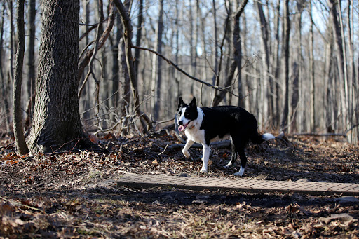 Park «Mills Reservation County Park», reviews and photos, Highland Ave, Cedar Grove, NJ 07009, USA