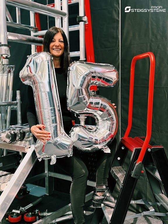 Profi Steigsysteme