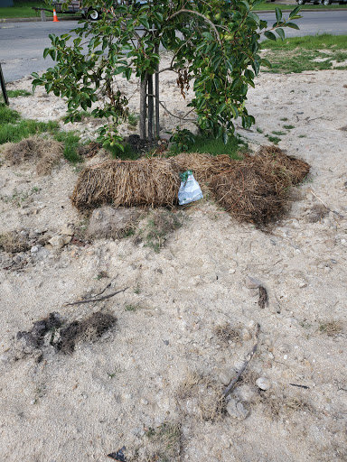 Plumber «Roto-Rooter Plumbing & Drain Services», reviews and photos, 2921 Cardwell Rd, Richmond, VA 23234, USA