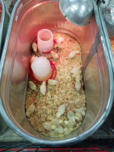 Home Improvement Store «Tractor Supply Co.», reviews and photos, 1407 Interstate 45 N, Conroe, TX 77304, USA