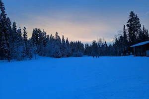 Caledonia Nordic Ski Club image