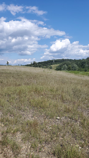 Serpentine Trail