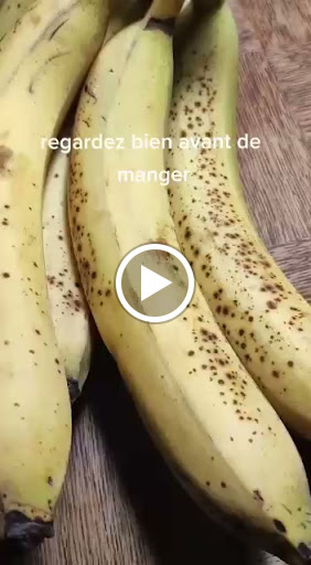 Zoo «Dallas Zoological Society», reviews and photos, 650 S R L Thornton Fwy, Dallas, TX 75203, USA