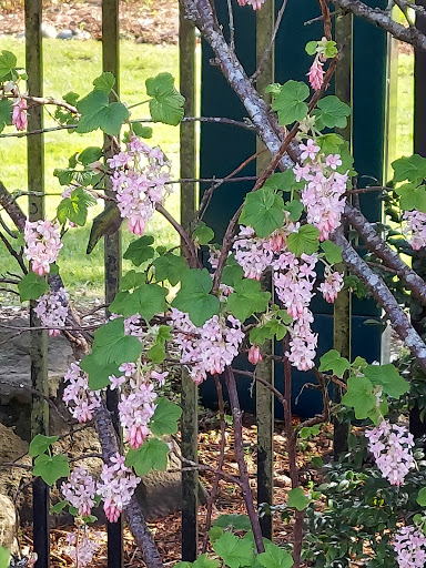 Community Center «SeaTac Community Center», reviews and photos, 13735 24th Ave S, SeaTac, WA 98168, USA