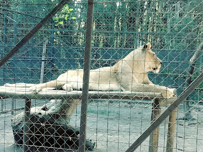 Zoologico Animals Park de Los Angeles