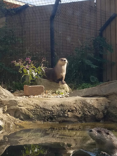 Natural History Museum «Cleveland Museum of Natural History», reviews and photos, 1 Wade Oval Dr, Cleveland, OH 44106, USA