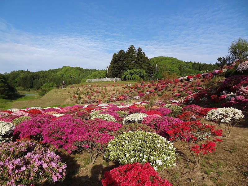 堂山つつじ公園