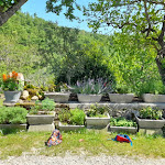 Photo n°2 de l'avis de ANNALISA.I fait le 14/05/2022 à 19:25 sur le  Agriturismo Il Castello di Marola à Marola