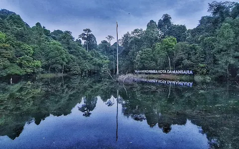 Kota Damansara Community Forest Reserve image