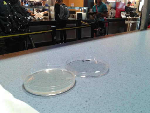 Book Store «Barnes & Noble College», reviews and photos, 5155 State University Dr, Los Angeles, CA 90032, USA