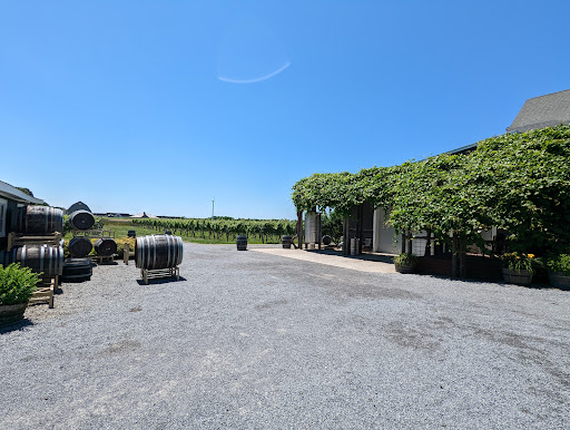 Winery «Lenz Winery», reviews and photos, 38355 NY-25, Peconic, NY 11958, USA