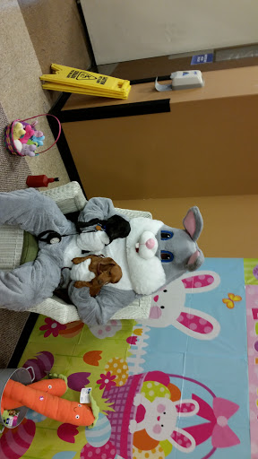 Pet Supply Store «PetSmart», reviews and photos, 6622 Charlotte Pike Suite 108, Nashville, TN 37209, USA