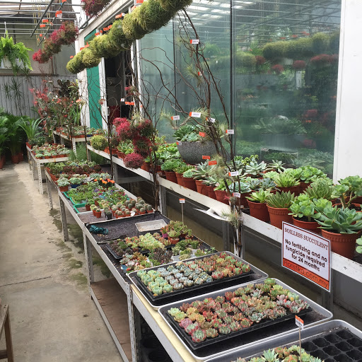 Plant shops in Kualalumpur