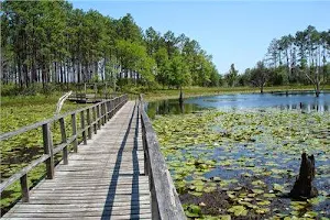 Seminole State Park image