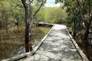 Maroochy Wetland Sanctuary image