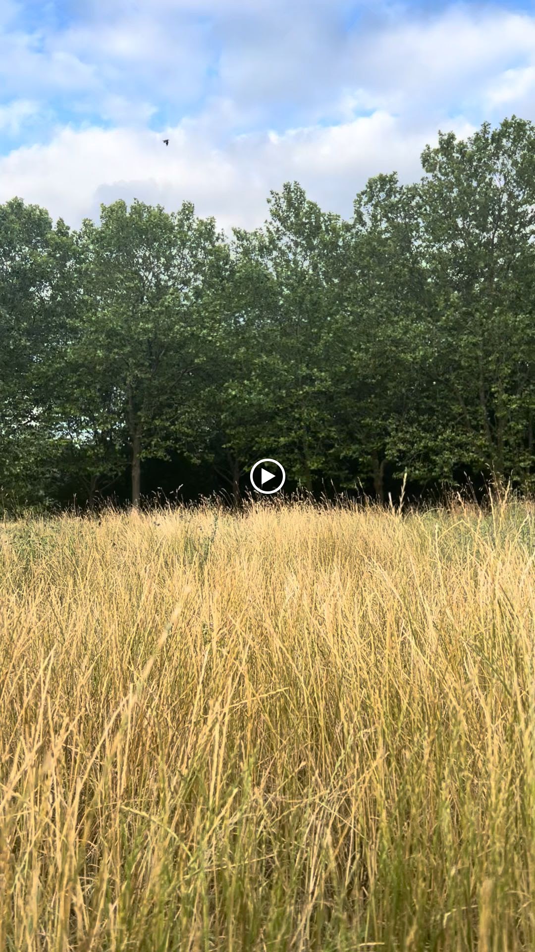 Photo n° 2 de l'avis de Bernice.u fait le 18/07/2023 à 20:37