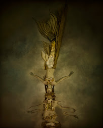 Kristi Elias Underwater Photography Studio - Photo 5 - Car repair in , Long Beach