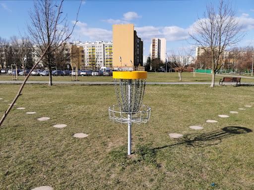 Disc Golf Putting Station