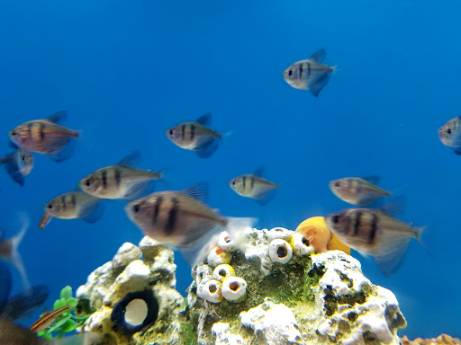 Pet Supply Store «PetSmart», reviews and photos, 170 Marketplace Blvd, Hamilton Township, NJ 08691, USA