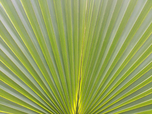 Park «Terramont Park», reviews and photos, 8500 Terramont Dr, The Woodlands, TX 77382, USA