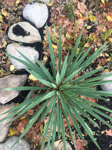 Park «Winnekenni Park», reviews and photos, 347 Kenoza Ave, Haverhill, MA 01830, USA