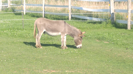 Golf Club «Old Hickory Golf Club», reviews and photos, W7596 WI-33, Beaver Dam, WI 53916, USA