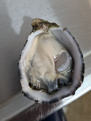 Oyster Obsession Pty Ltd