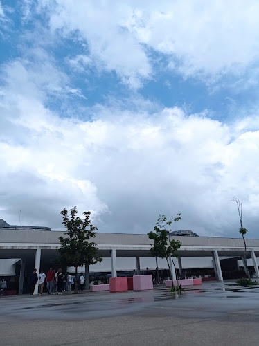 Escola Fernando Pessoa - Escola