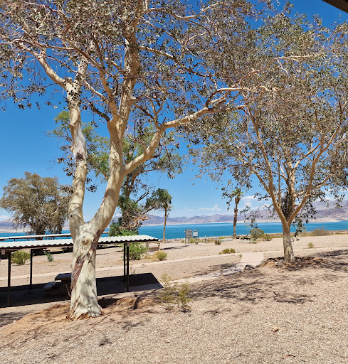 Visitor Center «Lake Mead Visitor Center», reviews and photos