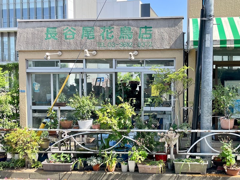 長谷尾花鳥店