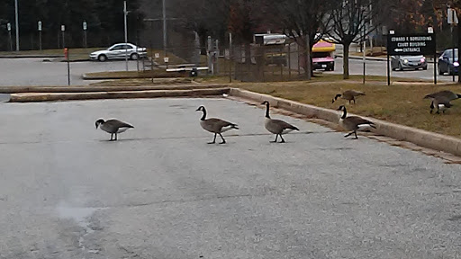 Shopping Mall «Northwest Plaza Shopping Center», reviews and photos, 4600 W Northern Pkwy, Baltimore, MD 21215, USA