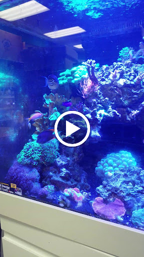 Tropical Fish Store «House of Tropicals Inc», reviews and photos, 7389 Baltimore Annapolis Blvd, Glen Burnie, MD 21061, USA