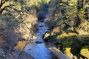 Butte Creek Forks Recreation Area image