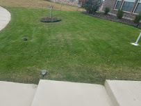 Brother's Landscaping & Tree Service - Photo 9 - Car repair in , Dallas