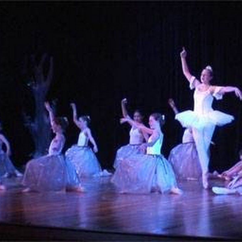 Devine Performing Arts