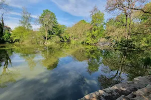 Teich am Stötteritzer Wäldchen image