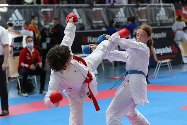 Kommentare und Rezensionen über Karate Schule Rheinfelden