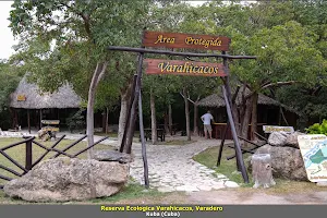 Varahicacos Ecological Reserve image