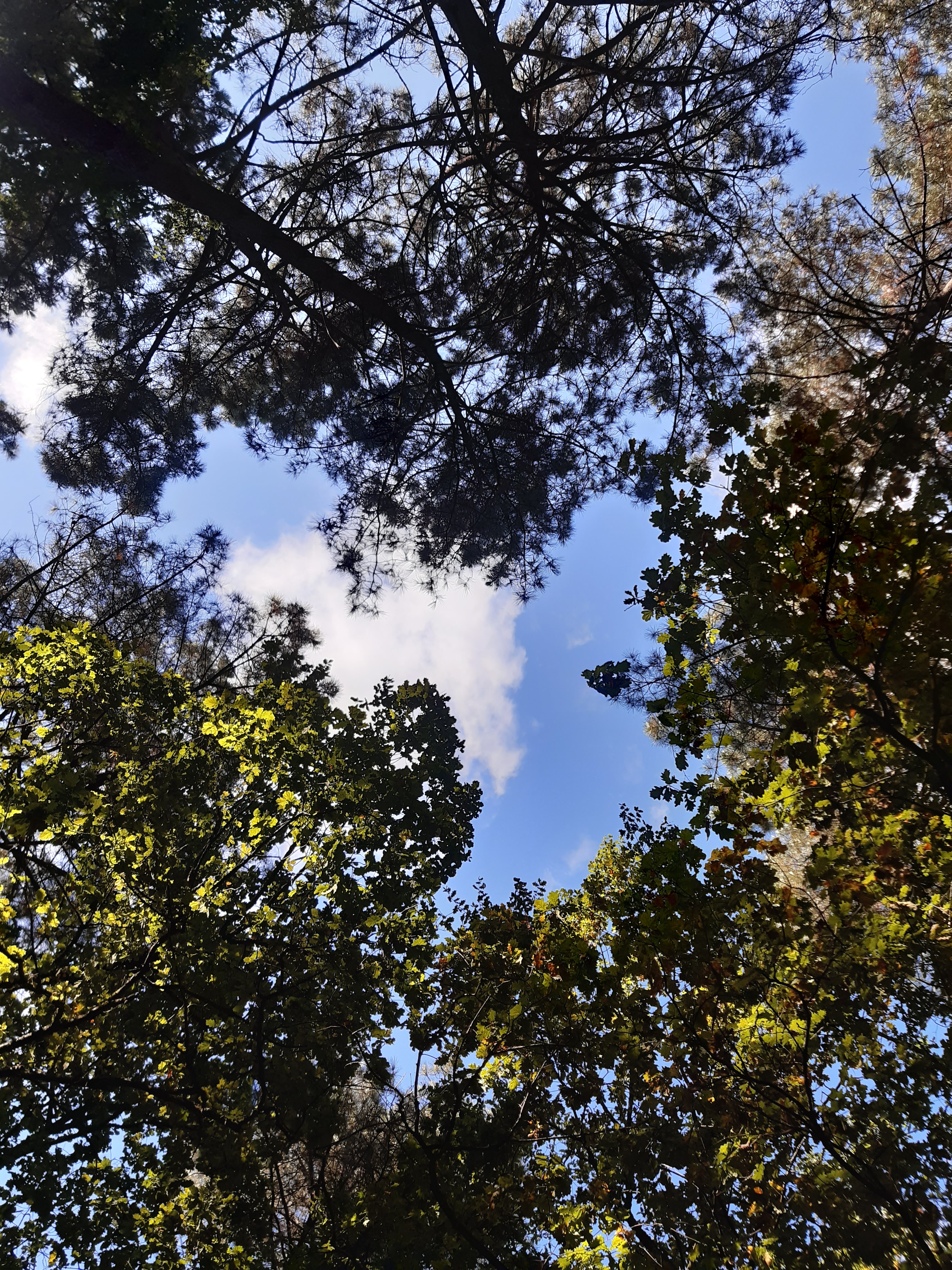 Photo n° 4 de l'avis de Jean.a fait le 20/07/2022 à 21:07