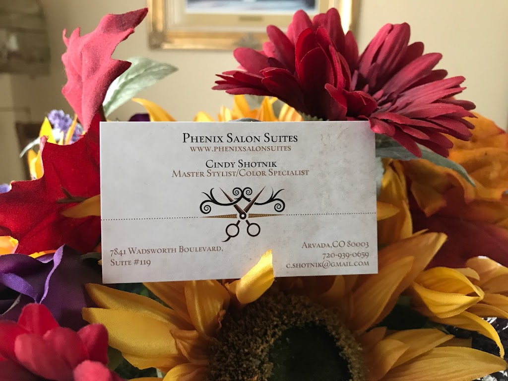 Cindy’s Hairstyling 80003