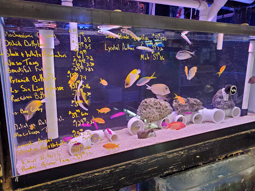 Pet Store «Pet Connection», reviews and photos, 29551 Five Mile Road, Livonia, MI 48154, USA